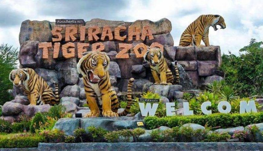Sriracha Tiger Zoo